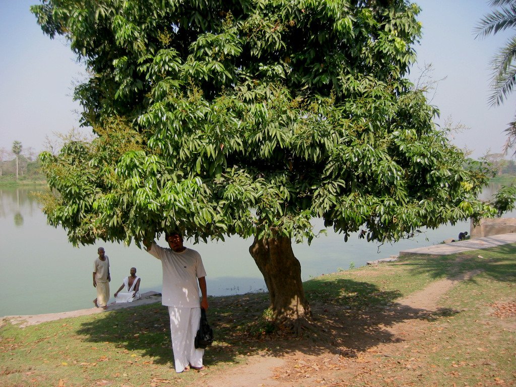  gaura mandal parikrama. 2004.03.14
